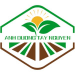 Công Ty TNHH Ánh Dương Tây Nguyên