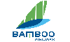 Bamboo Airways - CÔNG TY CỔ PHẦN HÀNG KHÔNG TRE VIỆT