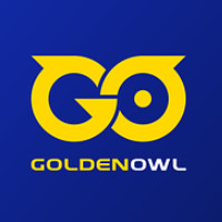 Golden Owl Consulting Ltd.