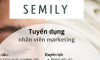 CÔNG TY TNHH SEMILY&CO