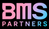 Công ty TNHH BMS Partners