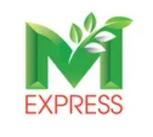 Kỹ Thuật Dựng (Video Editor)