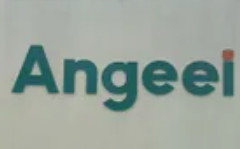 CÔNG TY TNHH ANGEEI VIỆT NAM