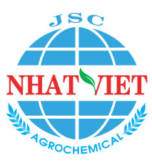 Nhân Viên Kiểm Tra Chất Lượng (KCS)