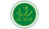 CÔNG TY TNHH THIẾT KẾ WEBSITE SEN VÀNG