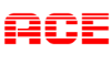 Công ty TNHH ACE Việt Nam